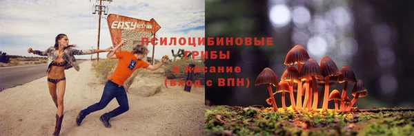 прущие крисы Нягань