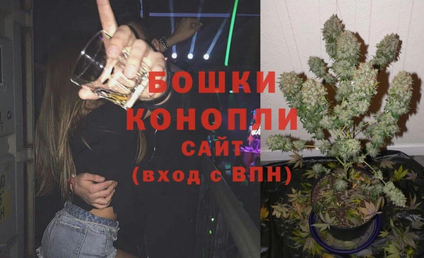 apvp Няндома