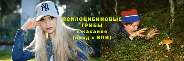 ПСИЛОЦИБИНОВЫЕ ГРИБЫ Нязепетровск
