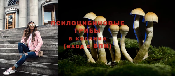 прущие крисы Нягань
