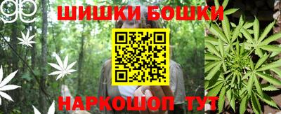 дживик Бийск