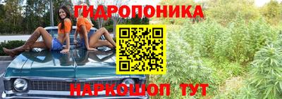 дживик Бийск