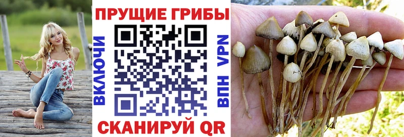 маркетплейс телеграм  Сатка  Псилоцибиновые грибы ЛСД  наркошоп 