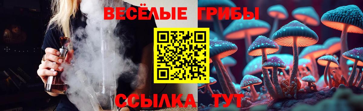 Псилоцибиновые грибы Psilocybine cubensis  Вход с VPN  Сатка  Галлюциногенные грибы Psilocybine cubensis 
